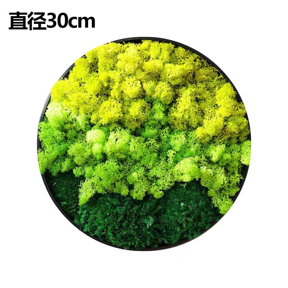 US-Moss Wall Art-0228