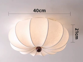 USA-Ceiling Light-1216
