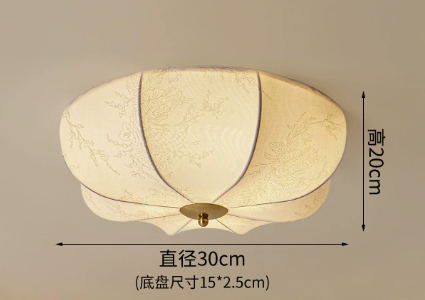USA-Ceiling Light-1226