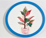 US-Round photo frame-0116
