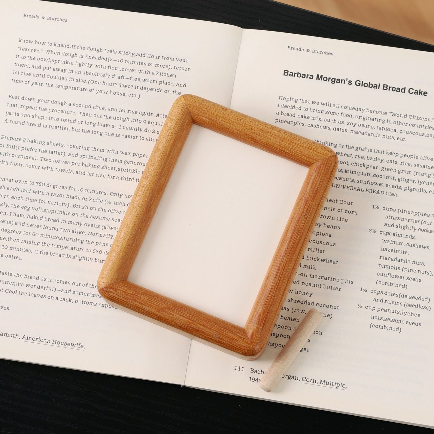 US-Magnetic Refrigerator Photo Frame-0225